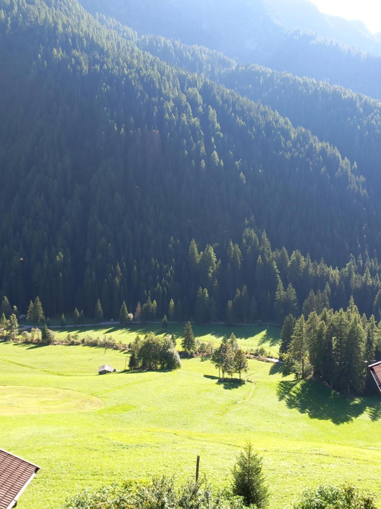 Gasthof Innerwalten Сан Леонардо ин Пасирия Екстериор снимка